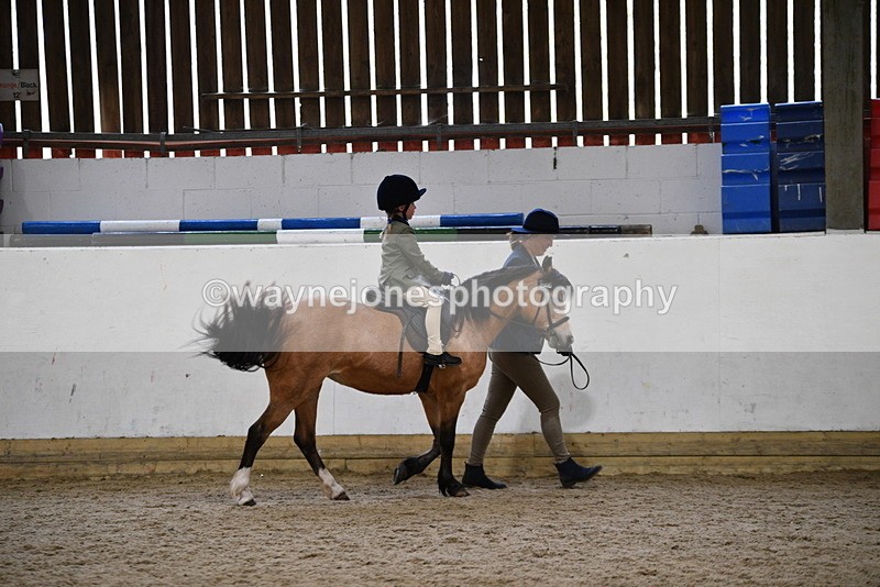 WJ5_6684 - Class 10 Childs Pony