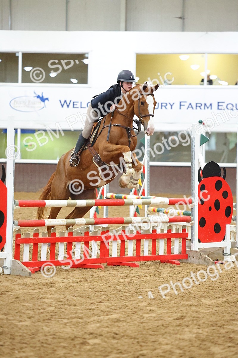 SBM_000497 - Class 2 - British Novice - 90cm