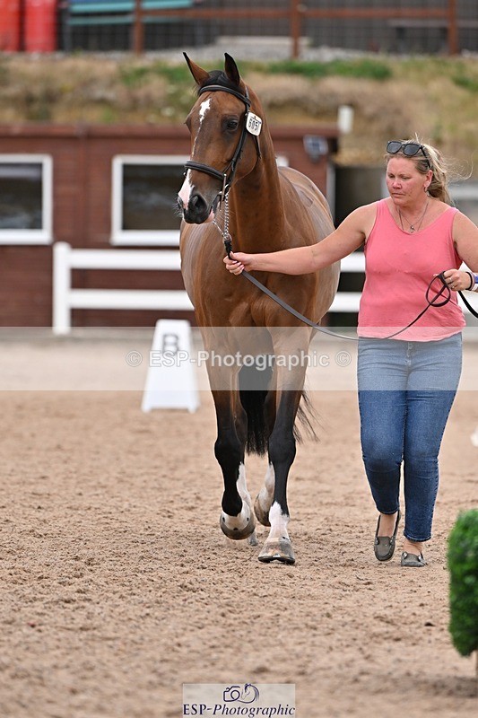 250716-141511-00988 - Trot Up 1.30 to 2.30