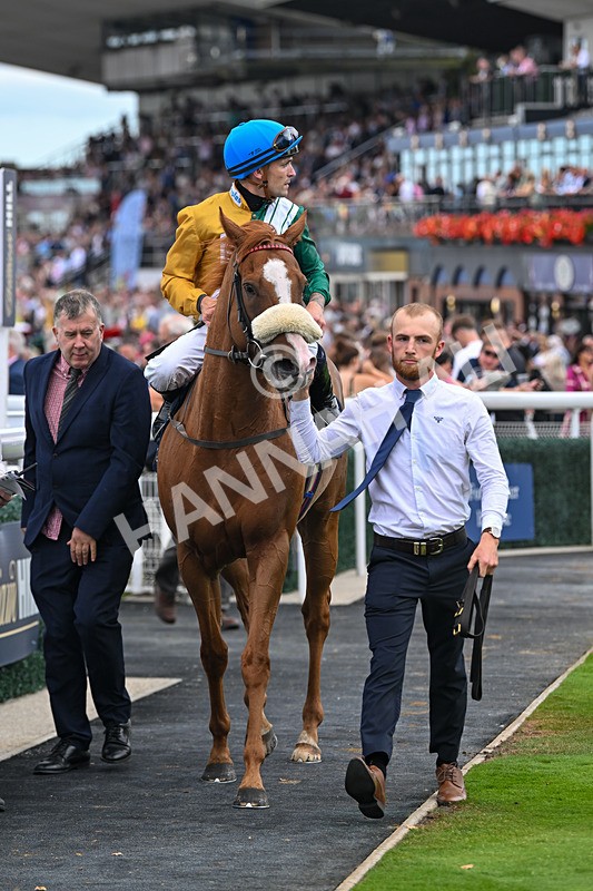 300825-Race 2-Shagraan-0730 - Race 2