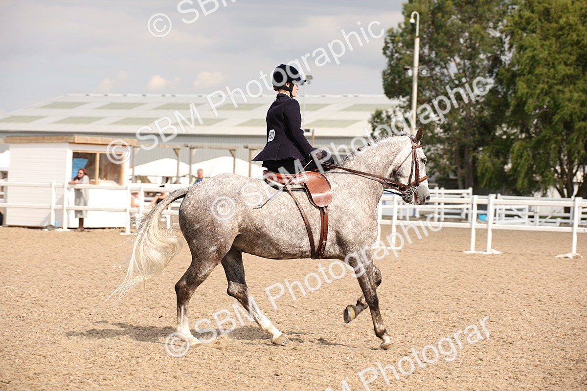SBM_06767 - Class 24 Concours d'elegance