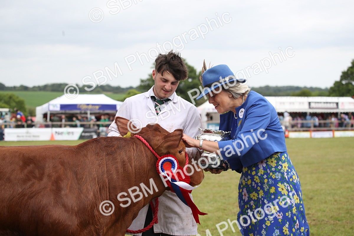 SBM_07942 - Grand Parade