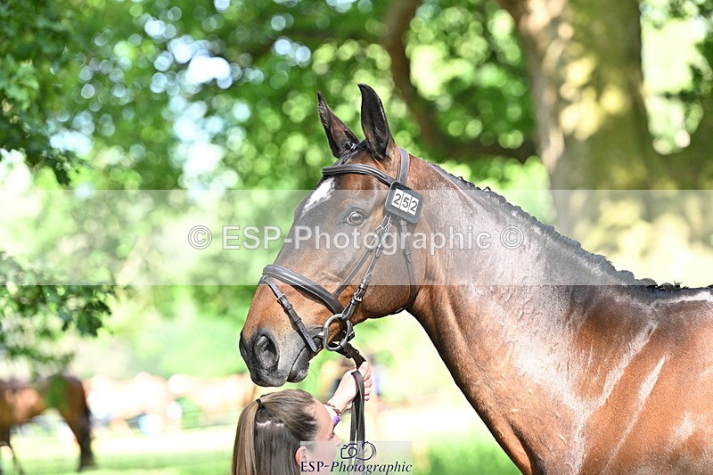 250521A-164025-01273 - C-252-Zoe.Boyles-SAM