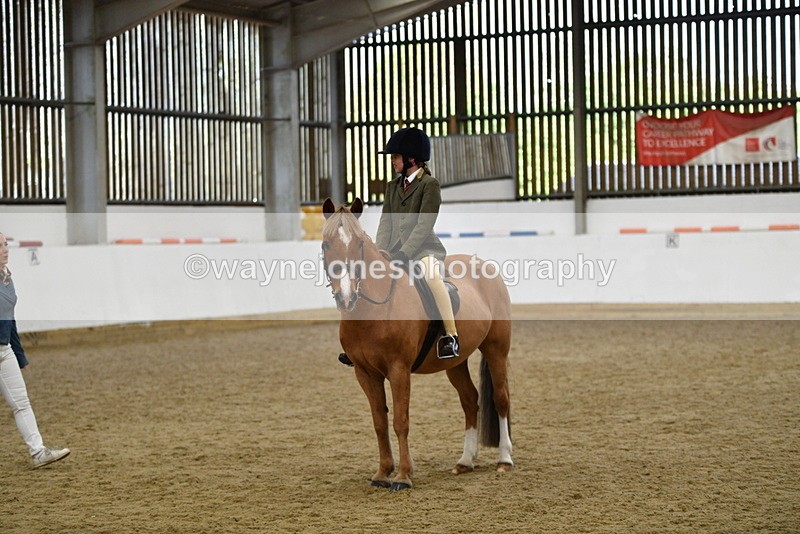 WJ5_6223 - Class 9 Ridden Veteran