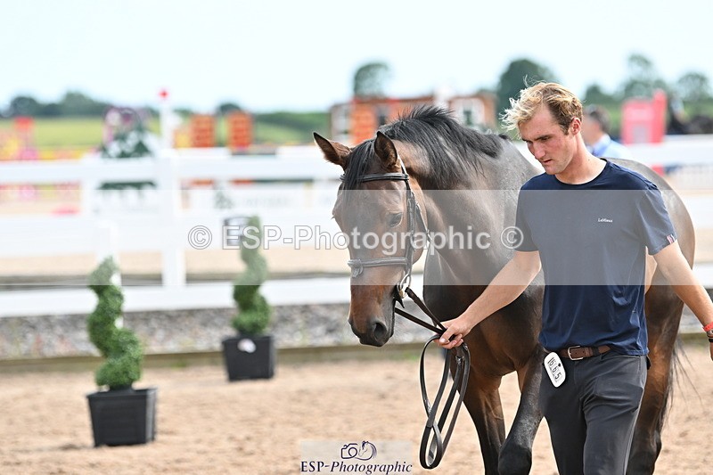 240717A-164528-03518 - Trot Up 4pm to 5pm