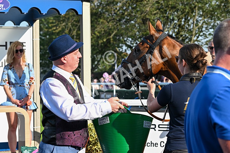 130825-Race 7-Tees Aggregates-9787 - Race 7