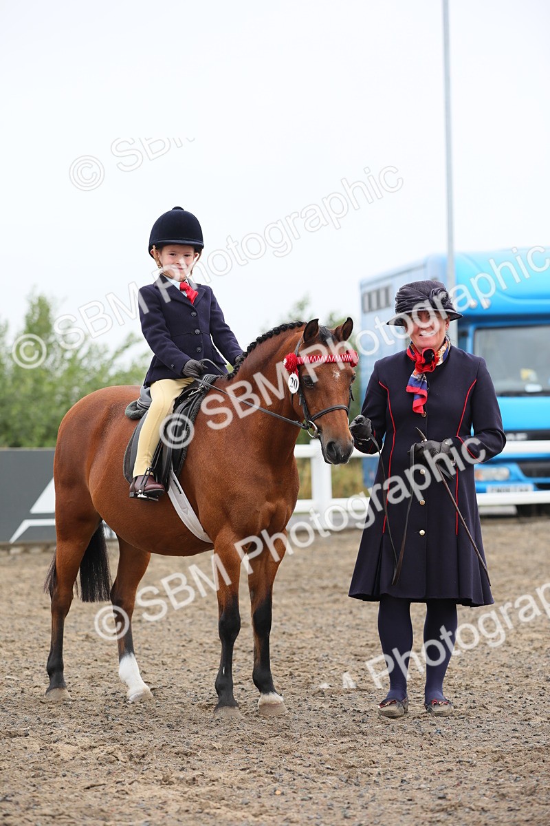 SBM_21740 - Class 806 - Young ridder 10 Yr & Under