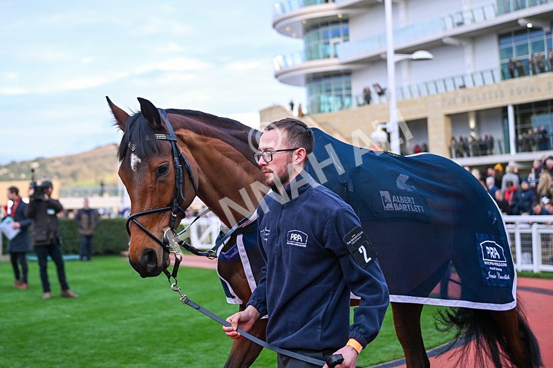 141224-Race 6-Skyjack Hijack-0852 - Race 6