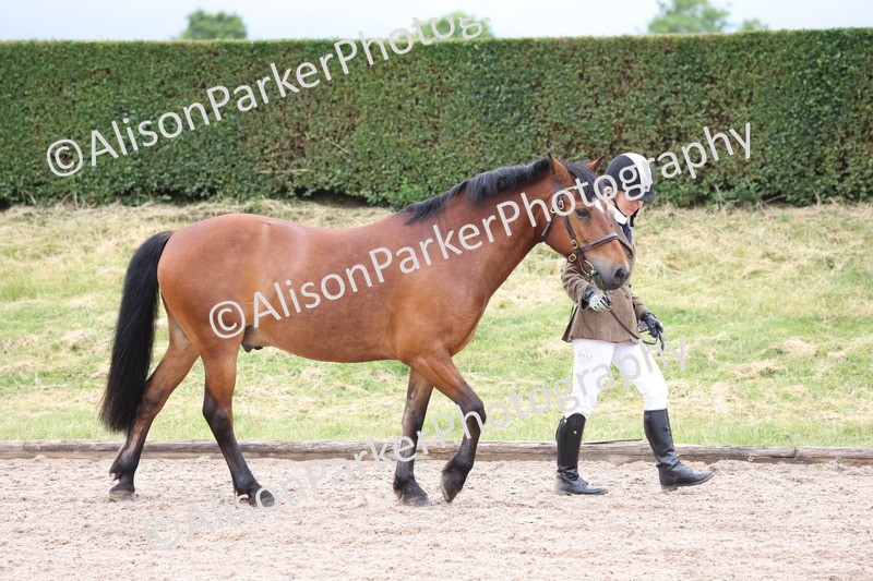 20250524-0001 - Class 1 - Best Condition