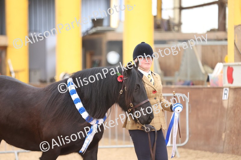 20251109-1257 - Supreme Championship