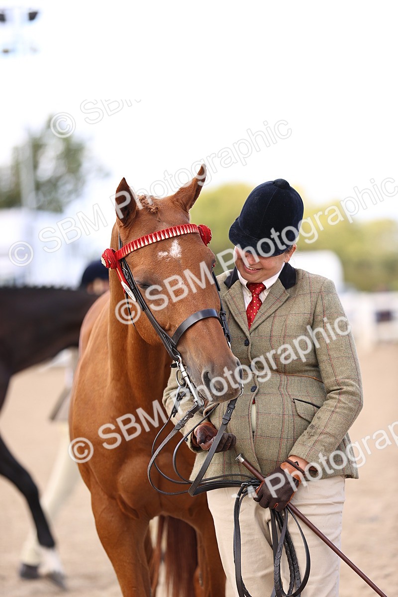 SBM_11555 - Class 407 - IH Hack-Riding Horse
