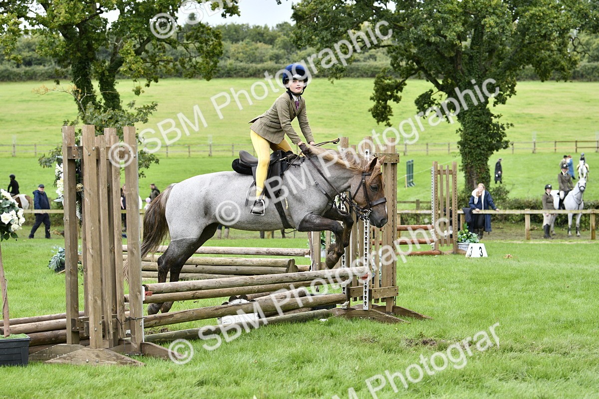 SBM_41330 - S32 - Mountain & Moorland Working Hunter Pony