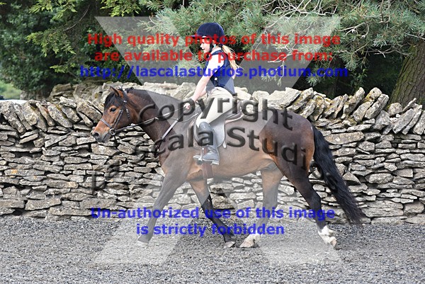 SNCP_0094 - AA Group