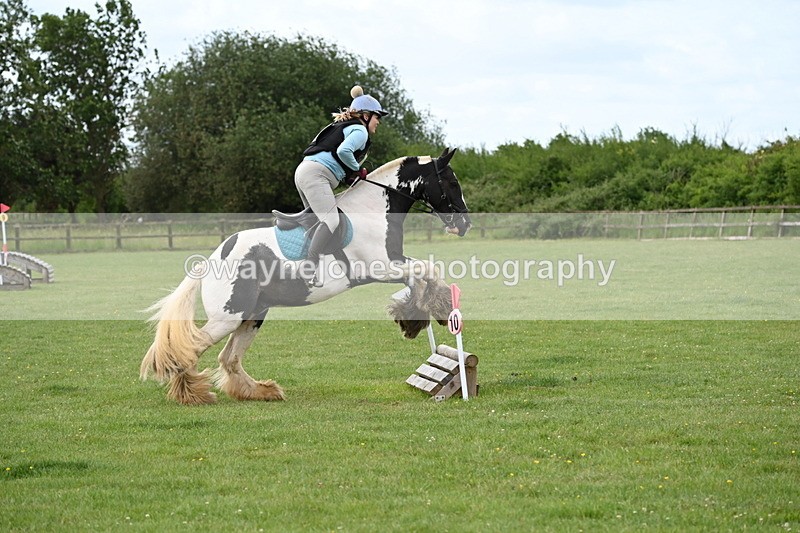 WJ6_2424 - Class 2 40cm