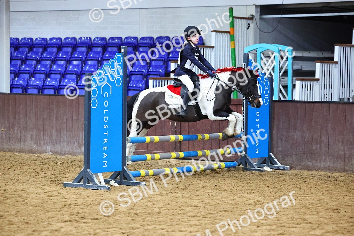 SBM_001306 - Class 3 - Christmas Tree Stakes - 60cm