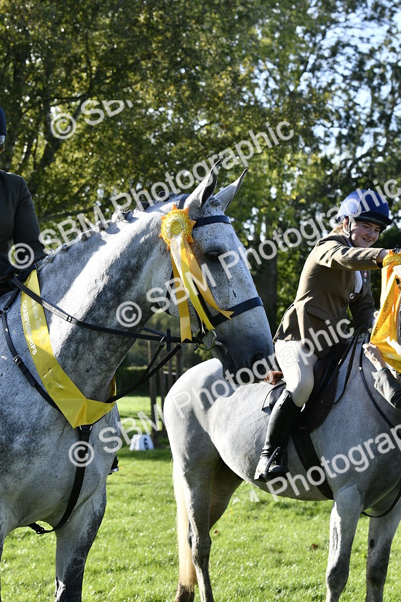 SBM_52253 - S35 - Working Hunter & Working Show Horse