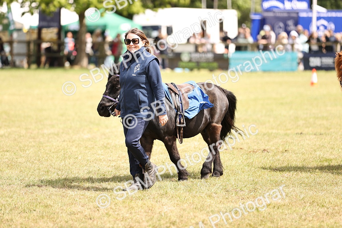 SBM_16376 - Dinky Derby