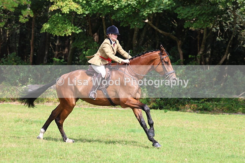 3E7A6141 - Working Hunter Championship