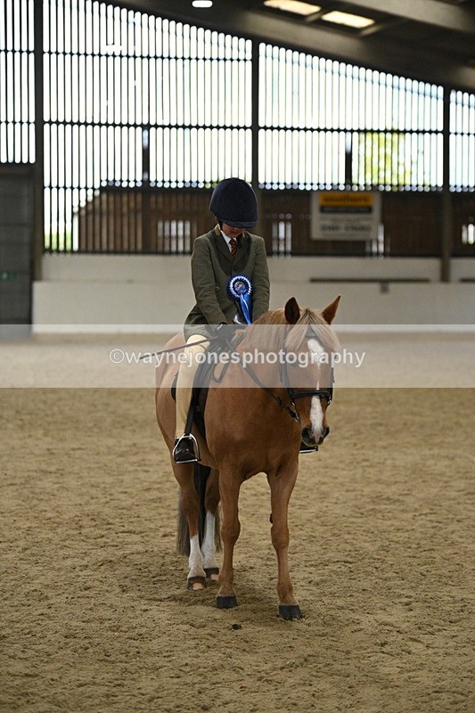 WJ7_4628 - Afternoon Champs