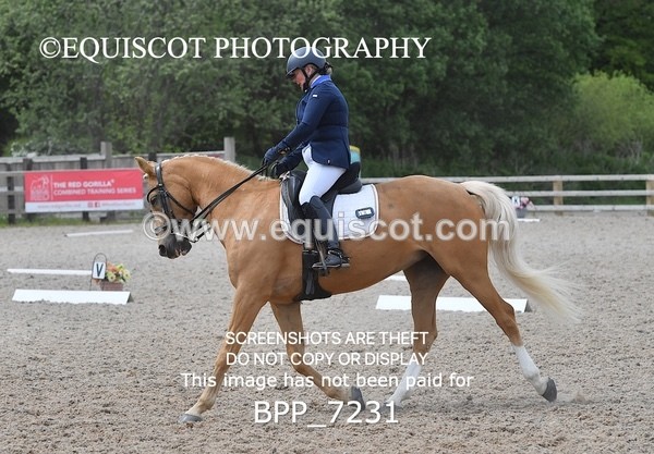 BPP_7231 - 3 D HARRISON
