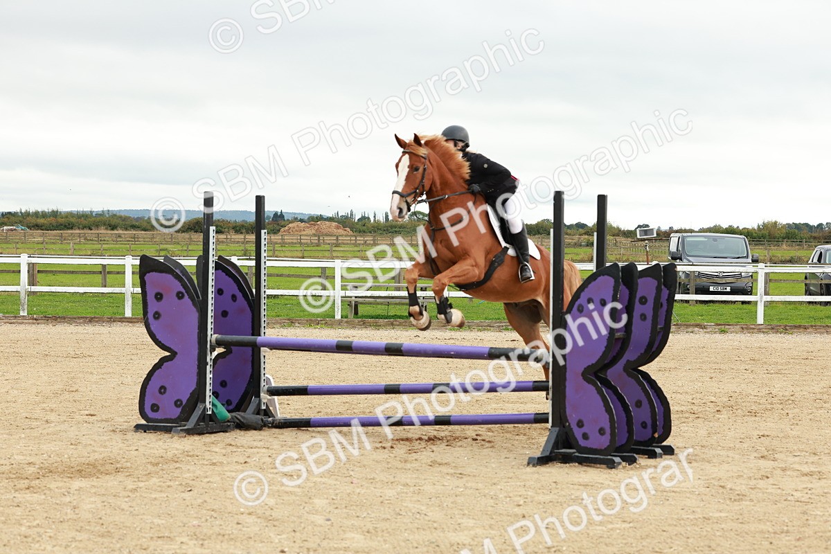 1I0A6761 - Class 2 - Senior British Novice