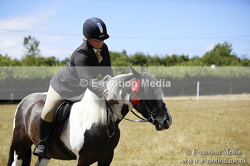 _C7A0002 - BVRC Show 2018 Ring 1