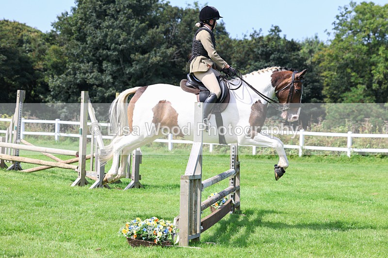 3E7A8607 - Class 5: Working Show Horse