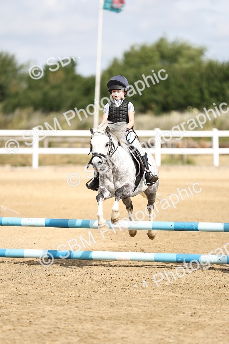SBM_003490 - 50cm showjumping