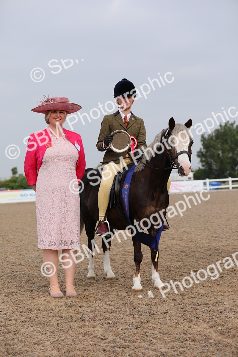 SBM_09675 - Class 301 Ridden M&M -Small Breeds