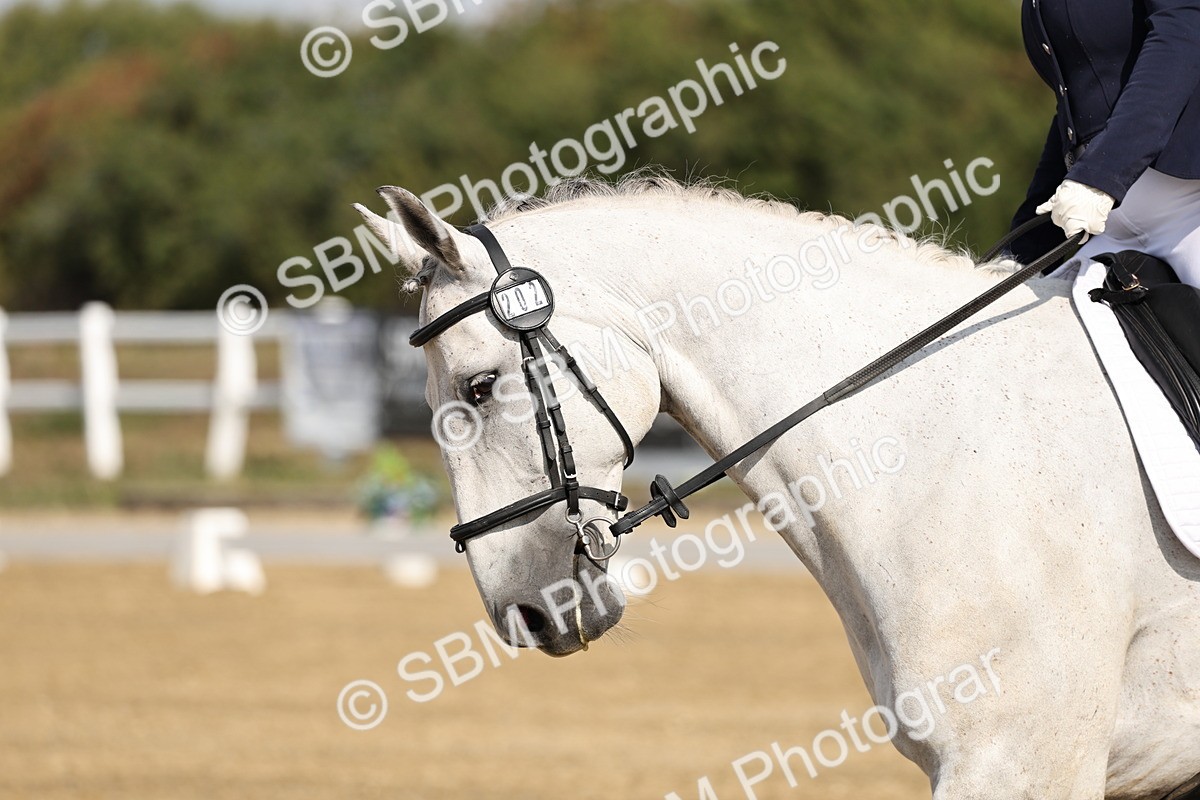 SBM_017409 - Class 12-14 - Intro 2-Prelim 5