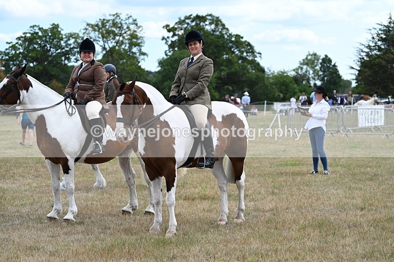 WJ7_5468 - Class 12 Ridden Cob