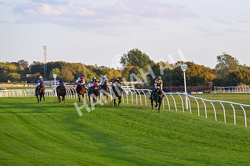 300926-Race 8-Jojo Rabbit-7153 - Race 8 5.55pm Racing Again 17th October Amateur Jockeys' Handicap