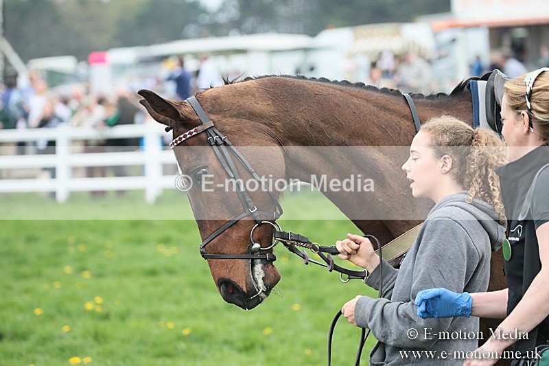 PtP 210418 147 - South & West Wilts Point-to-Point Larkhill 21/04/18