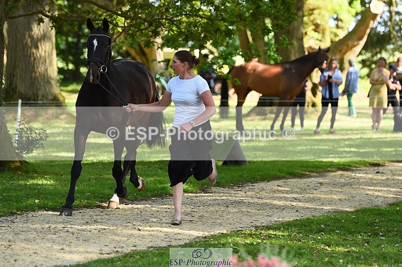 230524-164552-01071 - 114-DARK_SIDE_OF_THE_MOON_LS-Bundy_Philpott-WEDTrotUp+DR