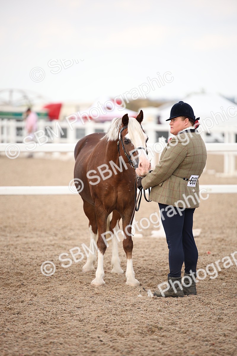SBM_08257 - Class 27 - IH Competition Horse-Pony