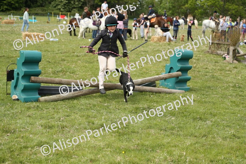20250517-2942 - Class 25 - Horse & Hound