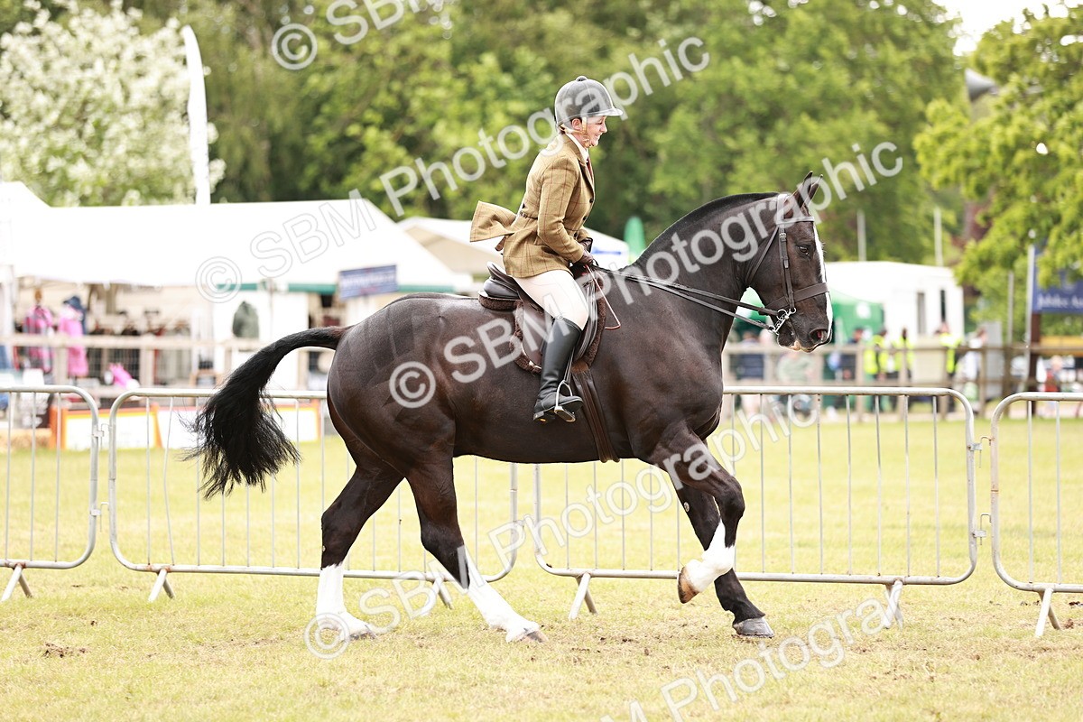 SBM_14078 - Class 85-87 - RIHS Cobs