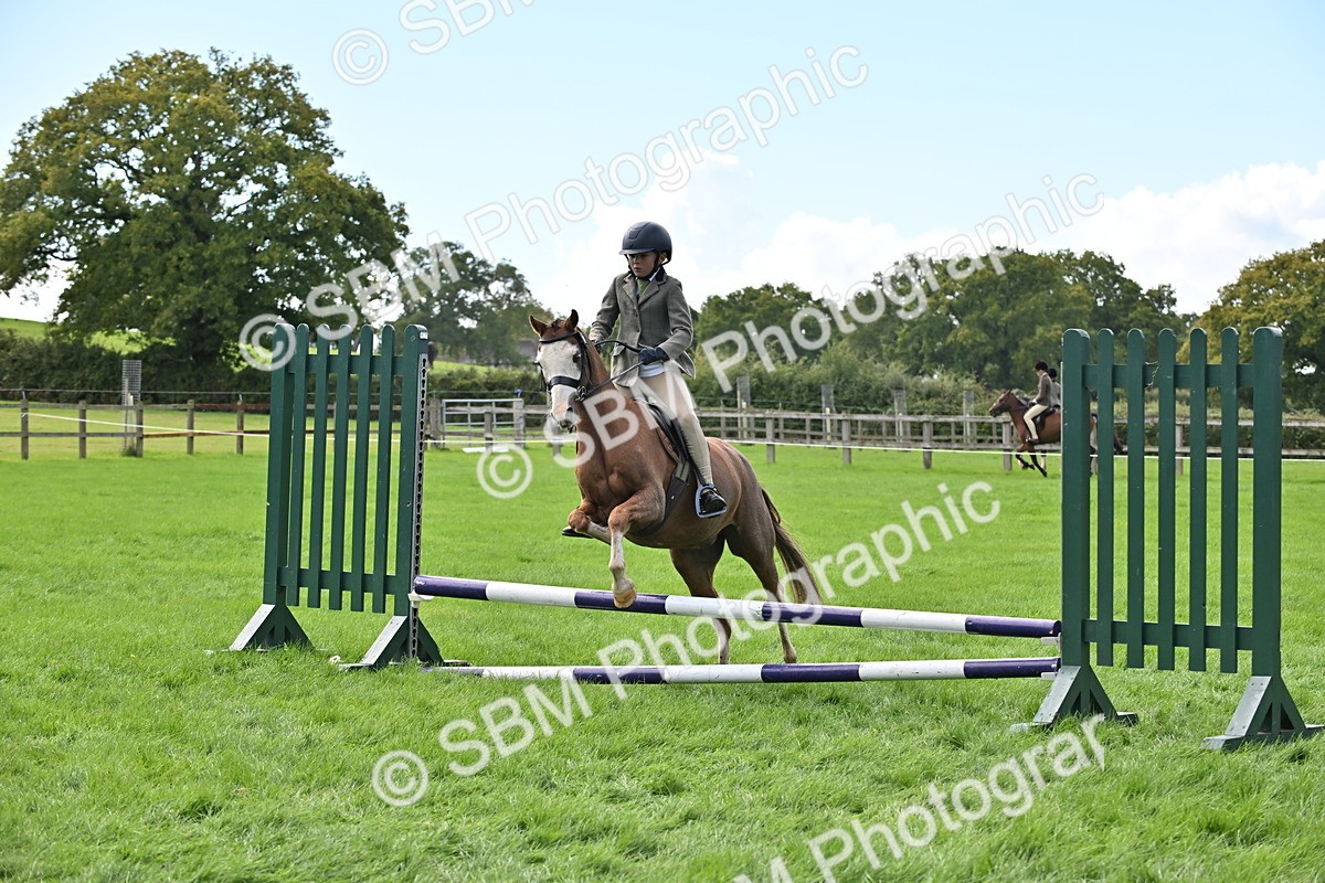 SBM_44494 - S13 - Pony Club Pony