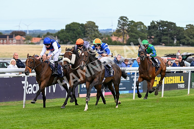 160926-Race 2-Northern Viola-9705 - Race 2 2.43pm Young Guns Nursery Handicap