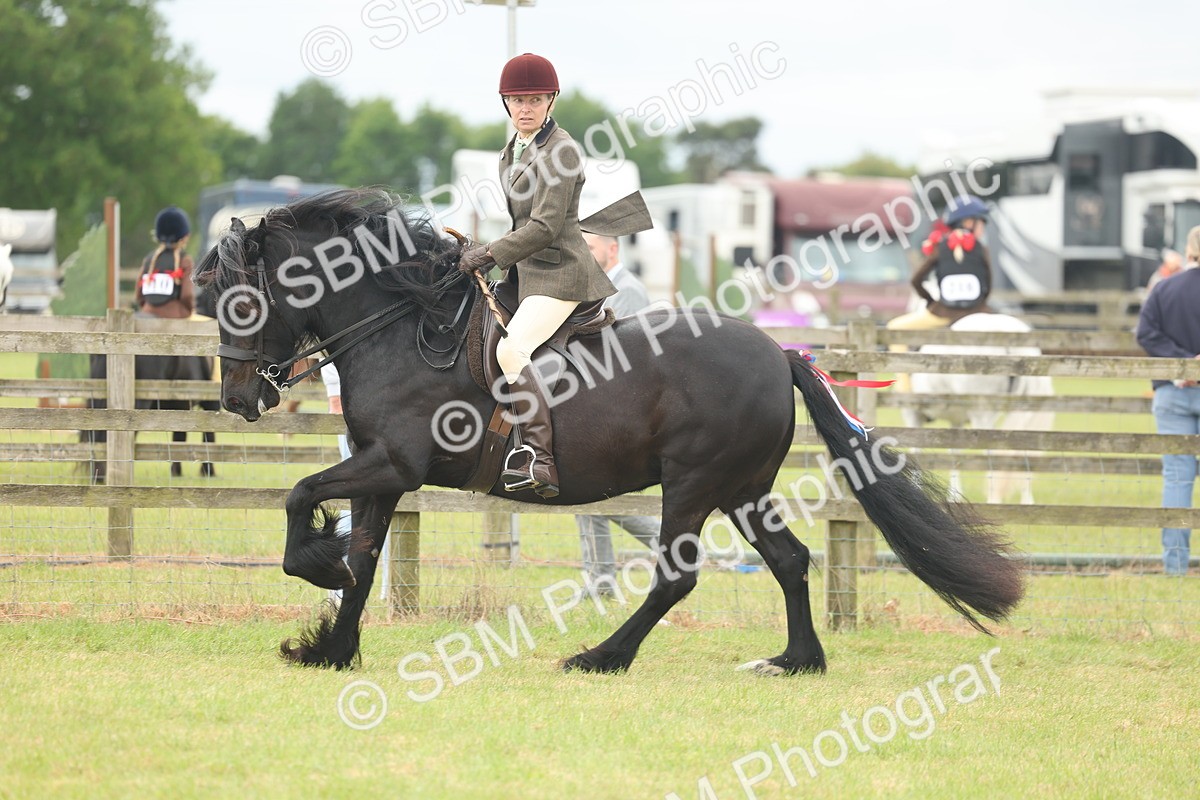 SBM_08980 - Class 78-80 - Ridden M&M Non Welsh Ponies
