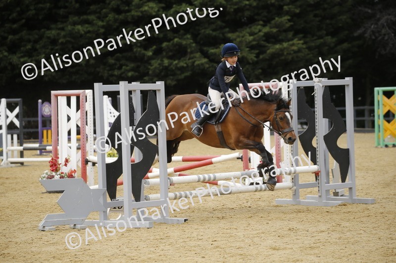 20250622-5821 - 60cm