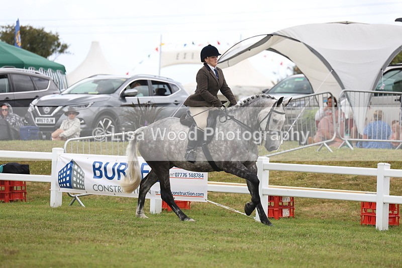 3E7A1435 - Class 9: Open Hunter