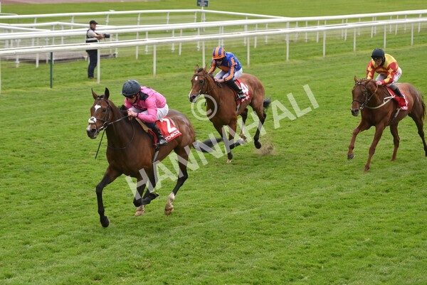 yr14052021r4-27 - Race 4 3.10pm The Matchbook Yorkshire Cup