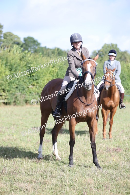 20250831-0946 - Class 14 - Ex Racehorse