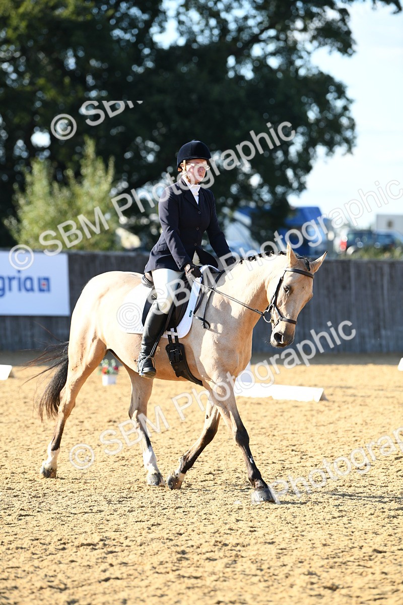 SBM_28482 - D16 - Small Tour Championship - Novice 28