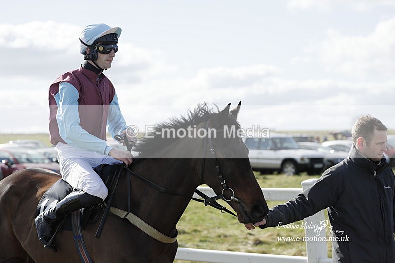 PtP 260223 396 - South & West Wilts Point-to-Point Larkhill 26/02/23