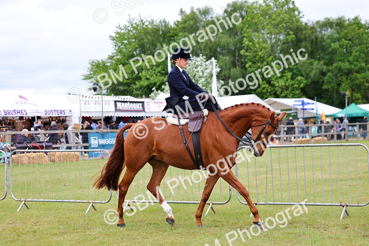 SBM_02931 - Class 9-11 Side Saddle including LIHS Rising Star Ladies Show Horse