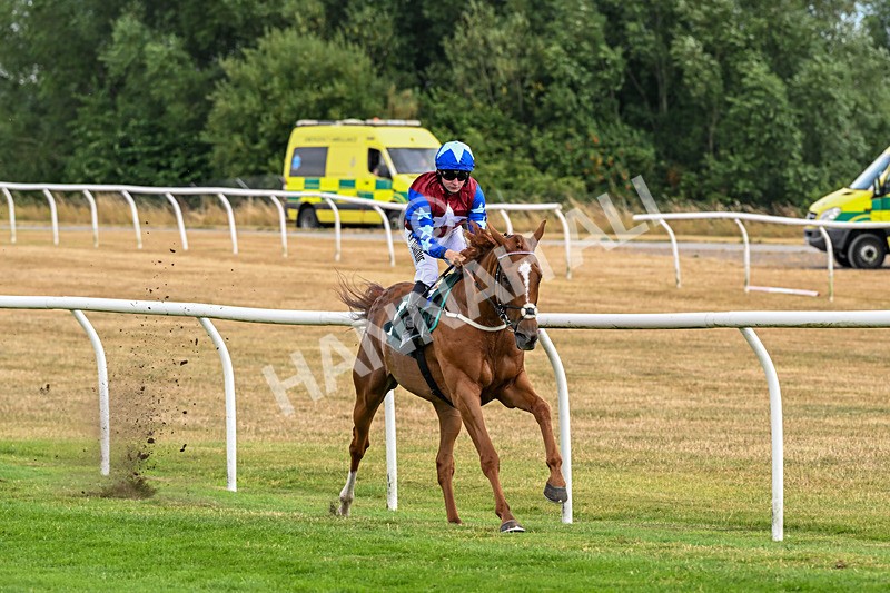 040826-Race 3-Free World-5086 - Race 3 15.15pm Jacky Rylance 60th Birthday Celebration Handicap
