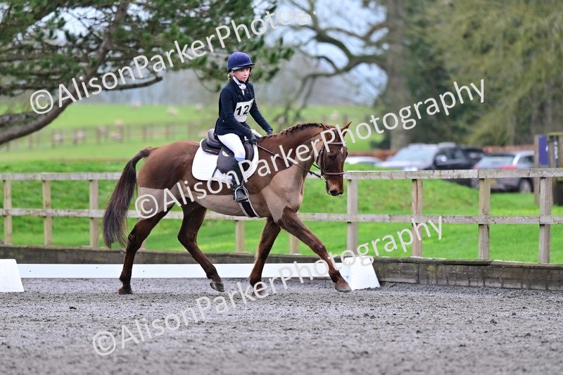 20260125-3988 - Class 12 - Novice