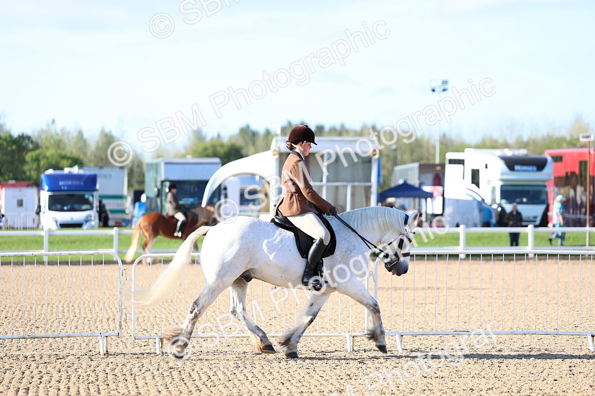 SBM_08734 - Class 302 - Ridden M&M - Large Breeds